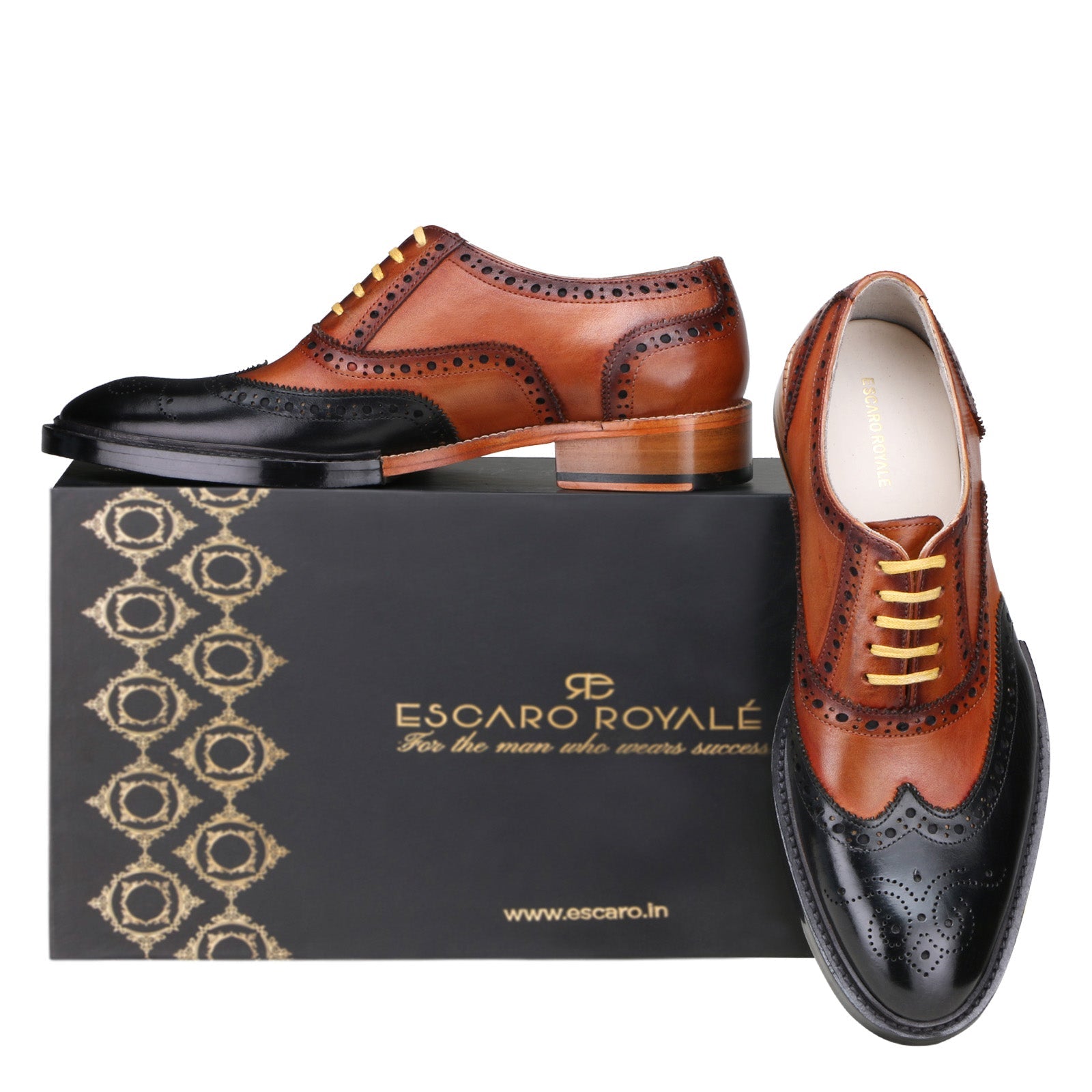 Escaro Royale Elan Leather shoes Black Tan for Men